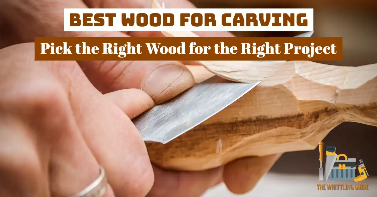 Best Wood for Carving | Pick the Right Wood for the Right Project
