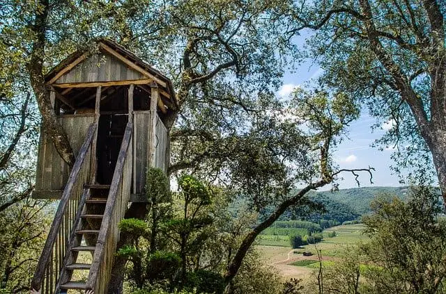 tree house with stairs