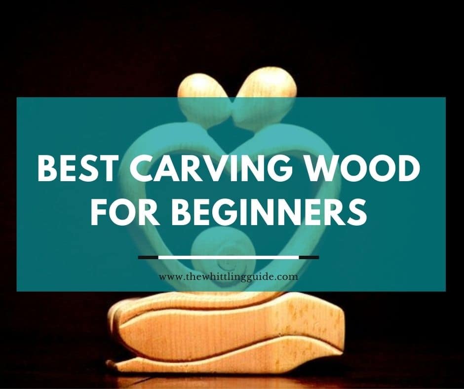 Best Carving Wood for Beginners | At Least 1 Will Suprise You