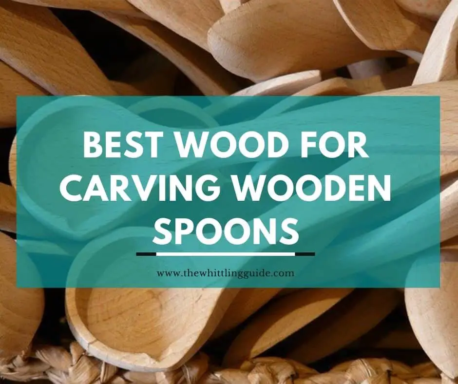 Best Wood for Carving Wooden Spoons [5 Ideal Choices for your Utensils]