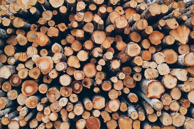 wood timber cut