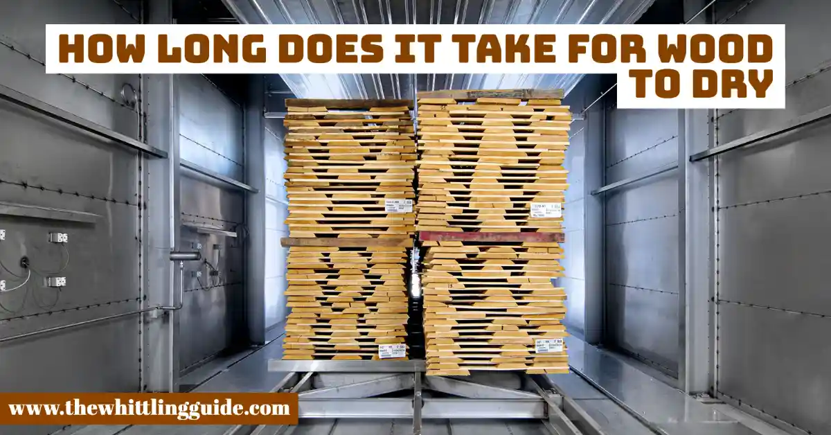 How Long Does it take for Wood to Dry?