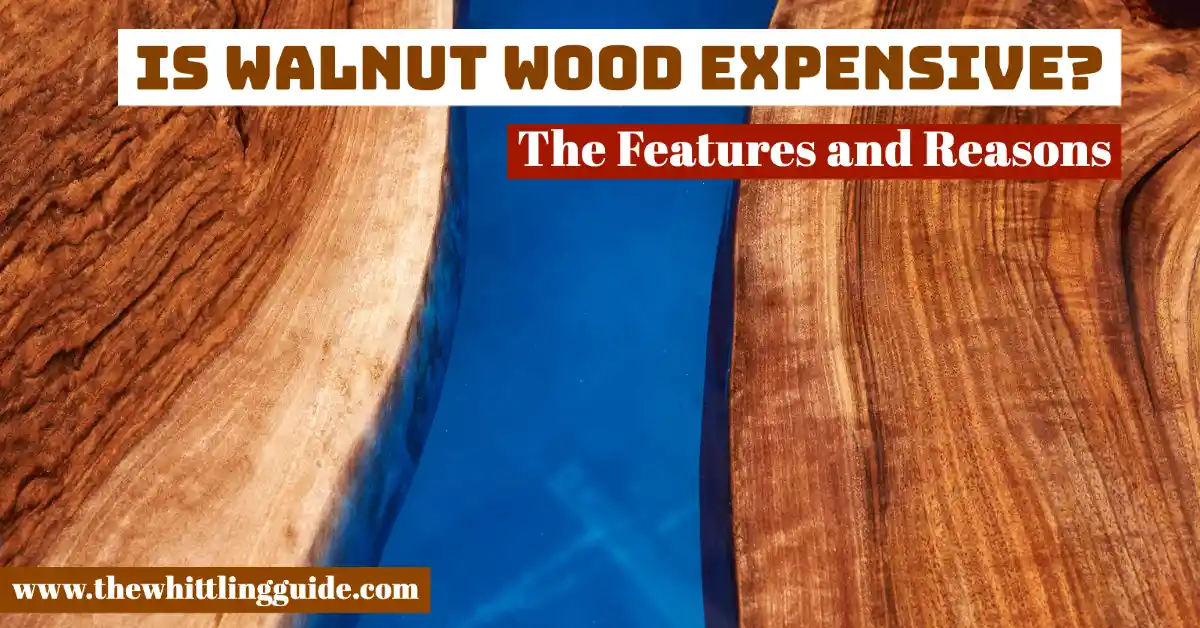Is Walnut Wood Expensive? The Features and Reasons