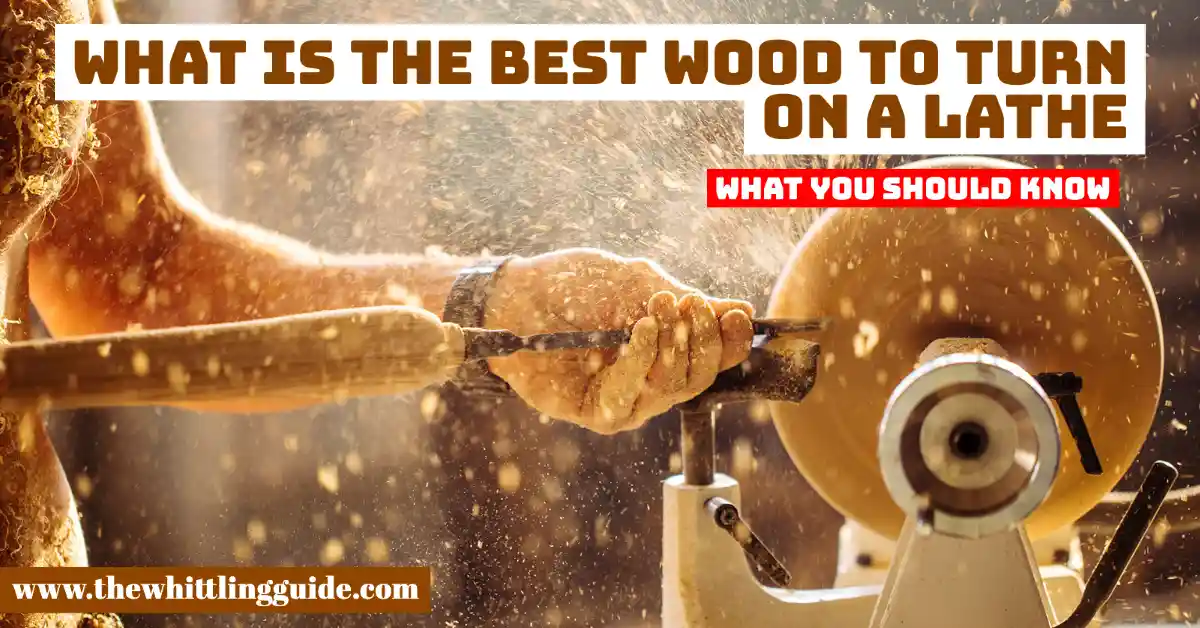 What is The Best Wood to Turn on a Lathe