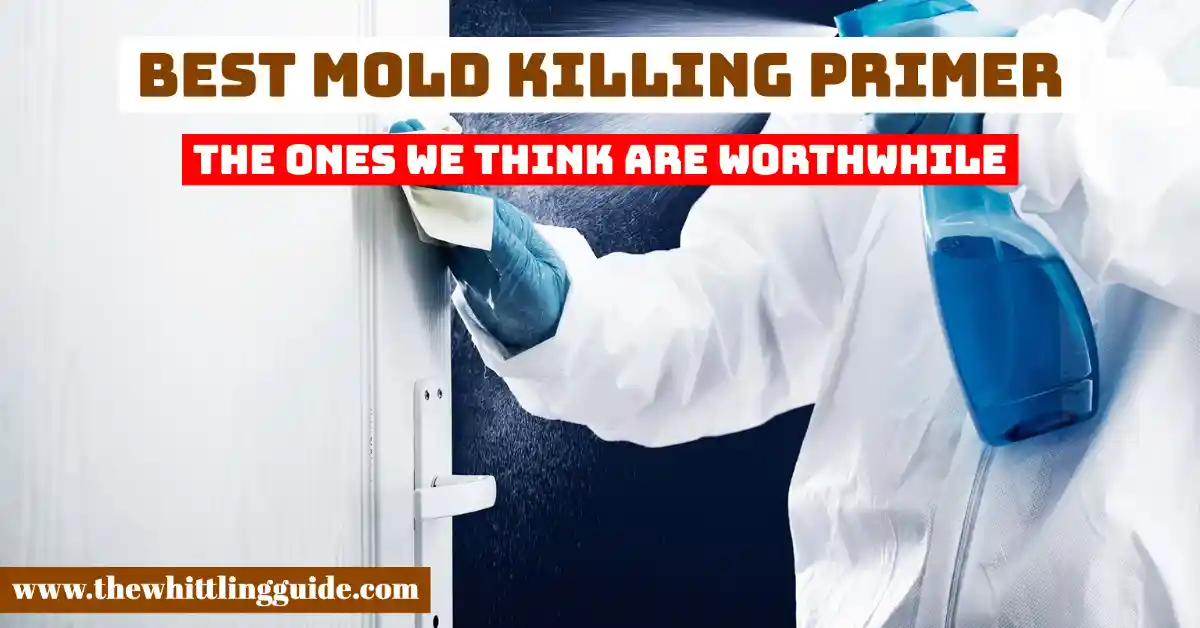 Best Mold killing Primer | The Ones We Think Are Worthwhile