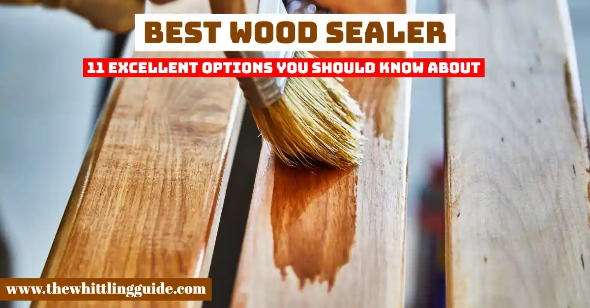 Best Wood Sealer | 11 Excellent Options You Should Know About