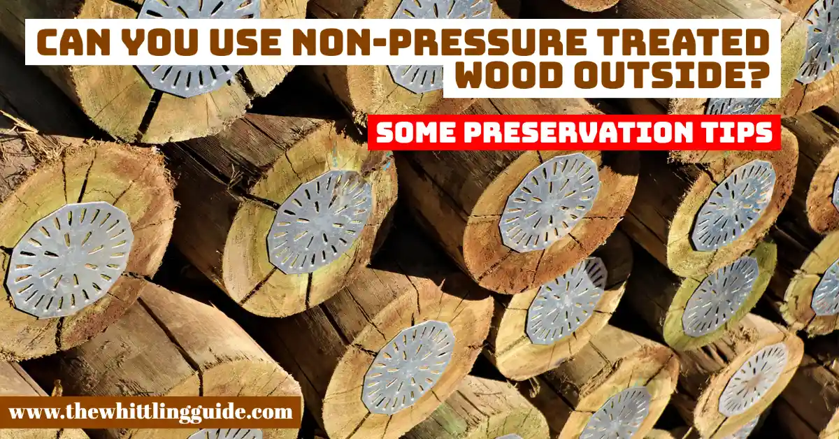 Can You Use Non-Pressure Treated Wood Outside? | Some Preservation Tips and Tricks