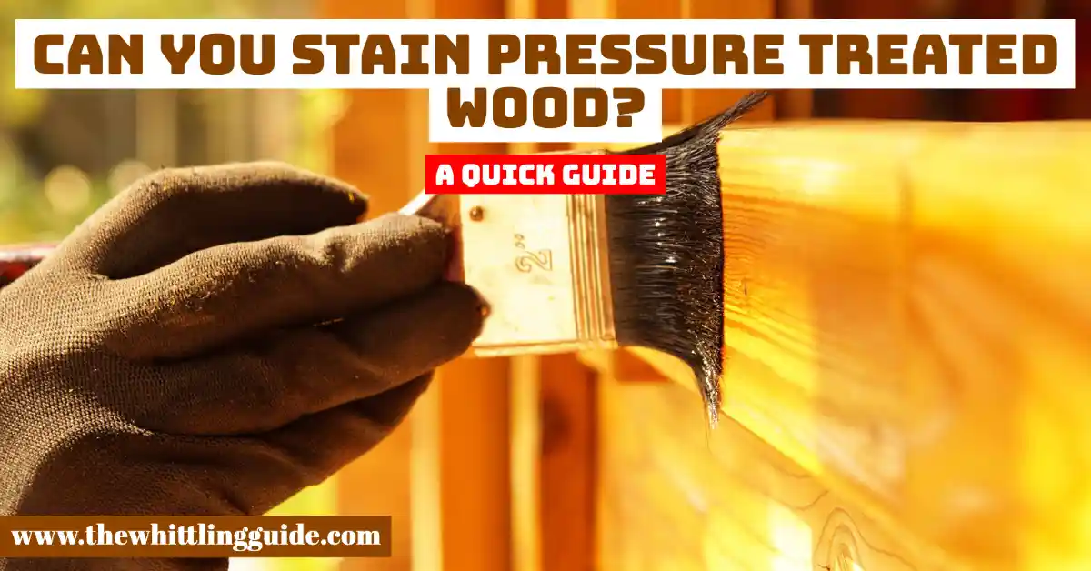 Can you stain pressure treated wood? | A Quick Guide