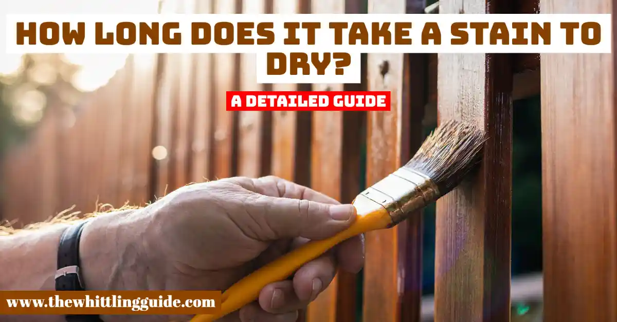 How Long Does it Take a Stain to Dry? | A Detailed Guide