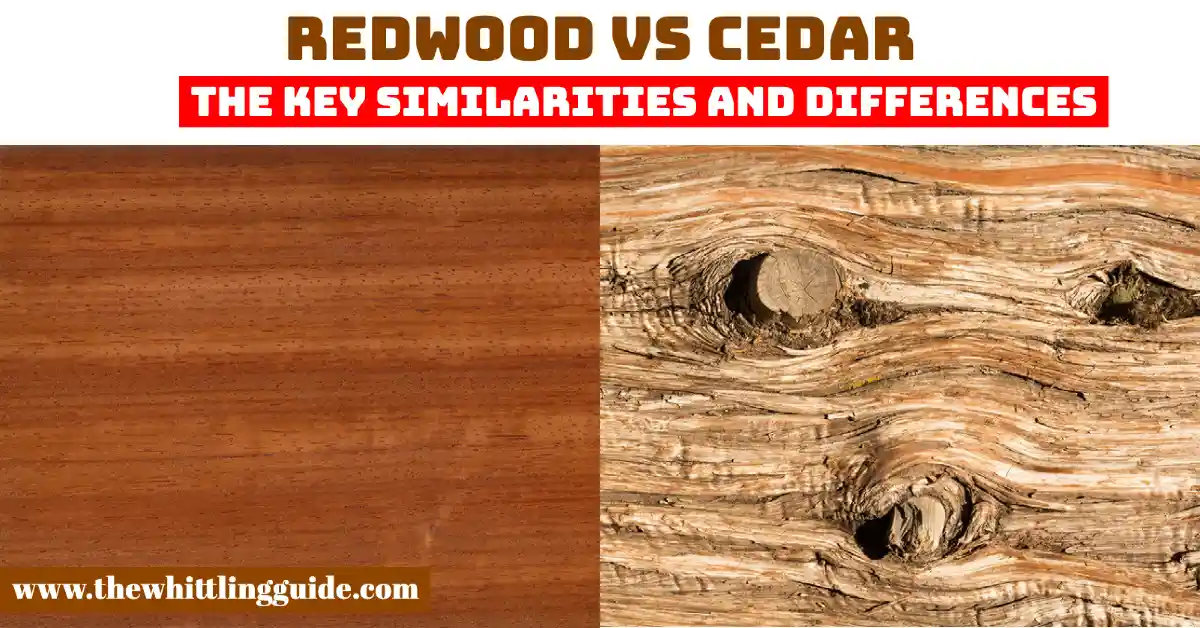 Redwood vs Cedar | The Key Similarities and Differences