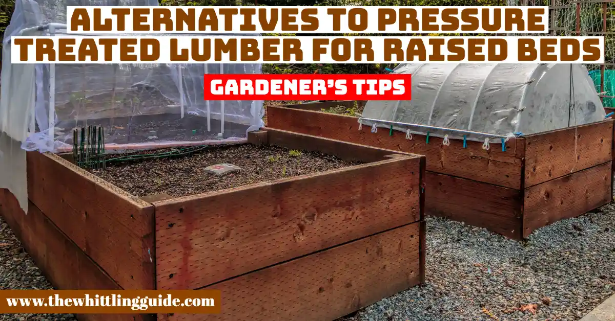 Alternatives To Pressure Treated Lumber For Raised Beds