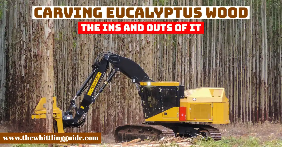 Carving Eucalyptus Wood | The Ins and Outs of It