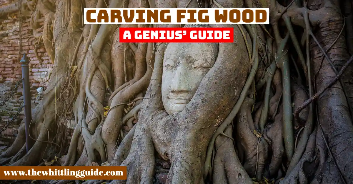 Carving Fig Wood | A Genius’ Guide
