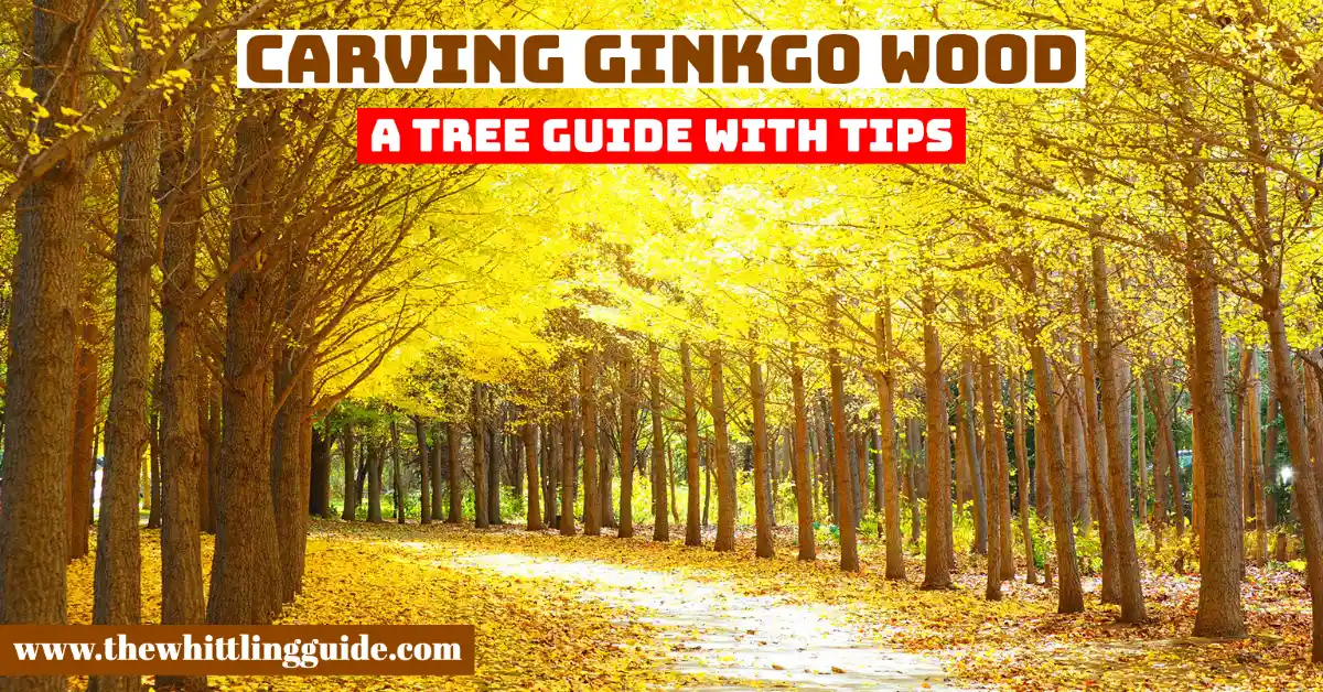 Carving Ginkgo Wood | A Tree Guide with Tips