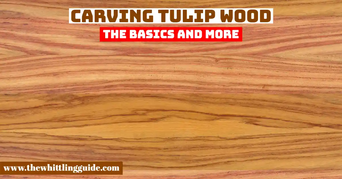 Carving Tulip Wood | The Basics and More