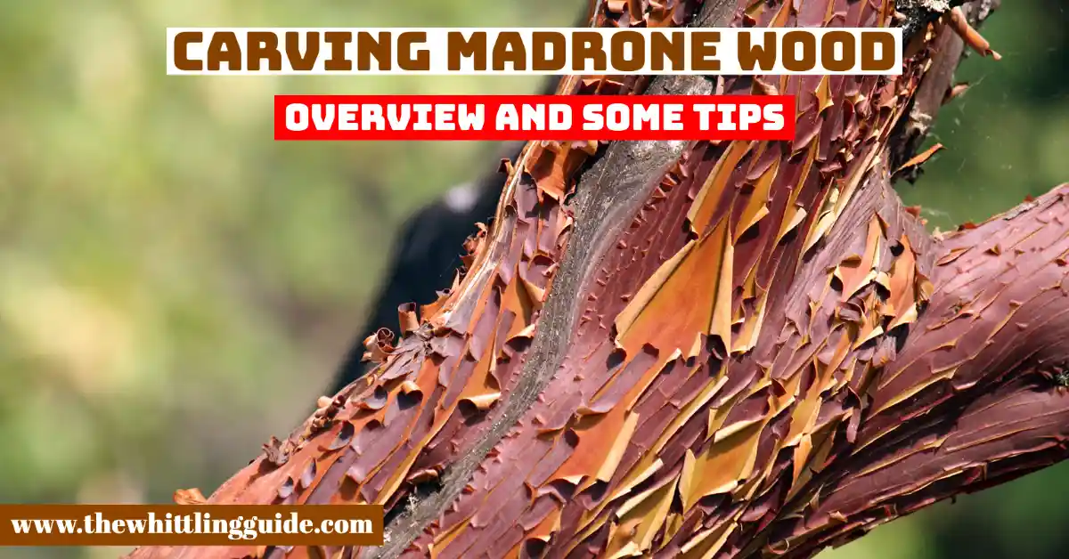 Carving Madrone Wood | Overview and Some Tips