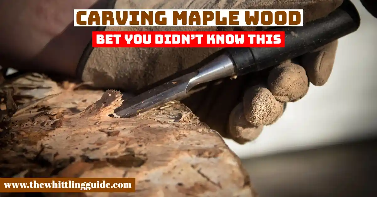 Carving Maple Wood | Bet You Didn’t Know This