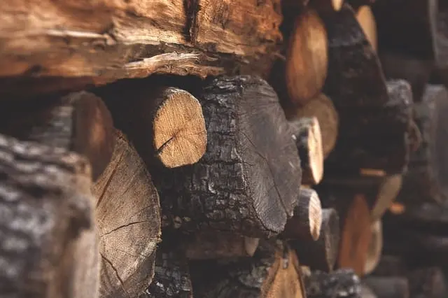 piled wood 